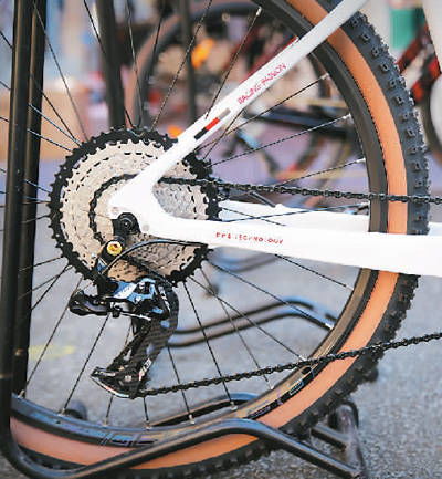 中國(guó)自行車(chē),海外加速跑