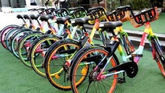 共享單車(chē)接連倒閉,背后的真相到底是什么