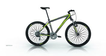 自行車貼花設計