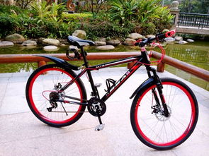 自行車(chē)尺寸解讀 XS、S、M、L 的意義及其在電動(dòng)自行車(chē)制造中的應(yīng)用